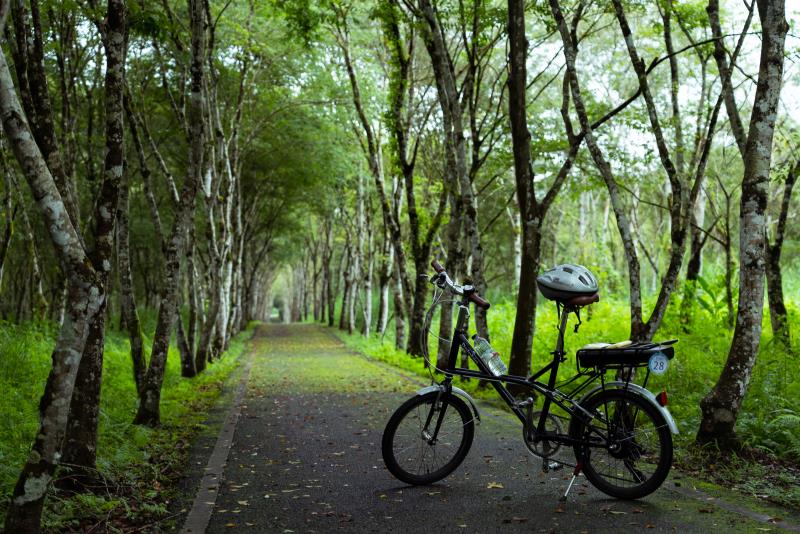  花東還是安然美好! 「徐行縱谷」自行車領騎培訓、玩騎認證、暑期優惠遊程陸續推出