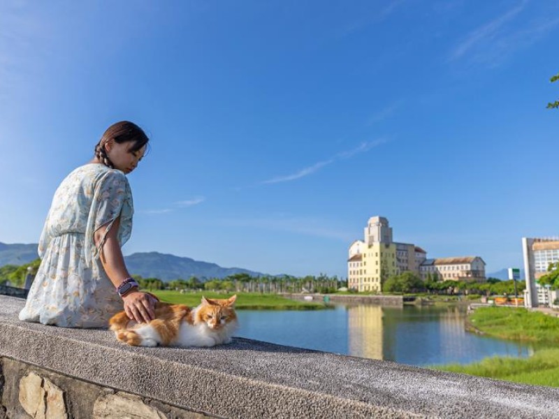 第一屆毛孩揪愛旅行攝影比賽結果出爐