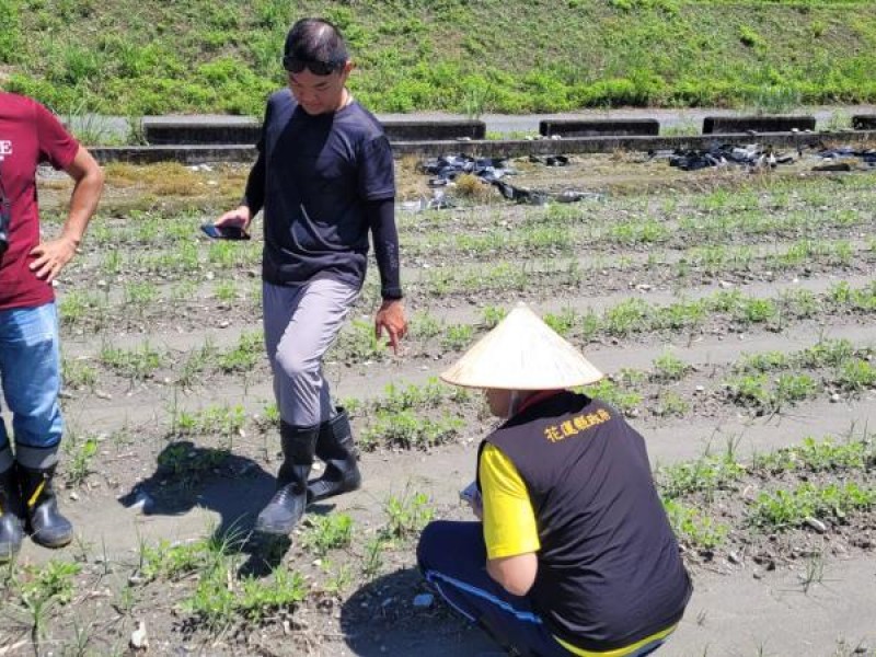 若發現山陀兒颱風過後農作遲發性災情 及時通報當地公所