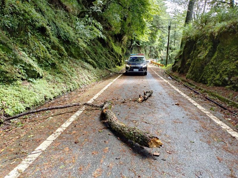 新城警徒手清除倒塌路樹 守護中橫公路行車安全