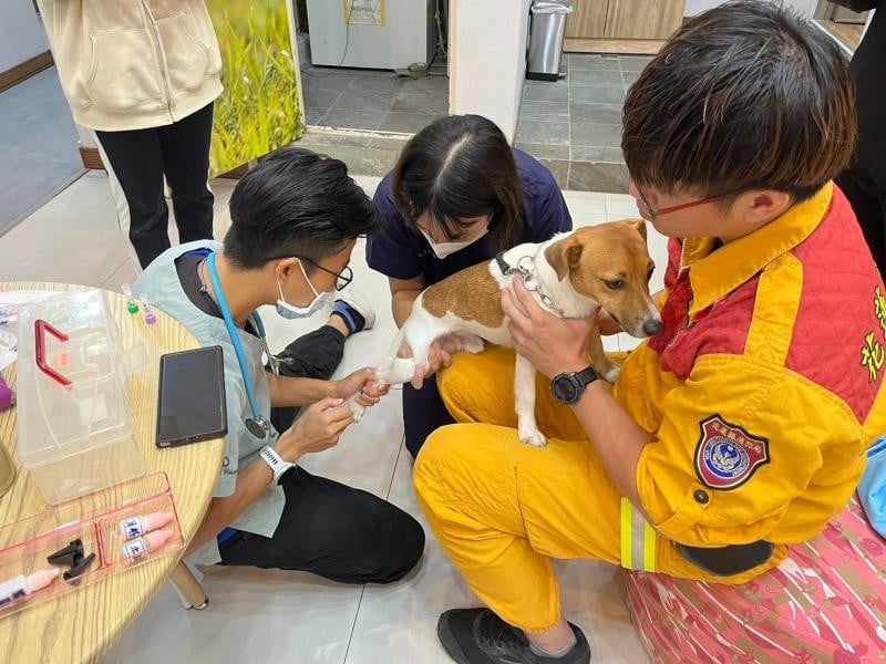 高橋動物醫院與消防局 攜手守護搜救犬健康