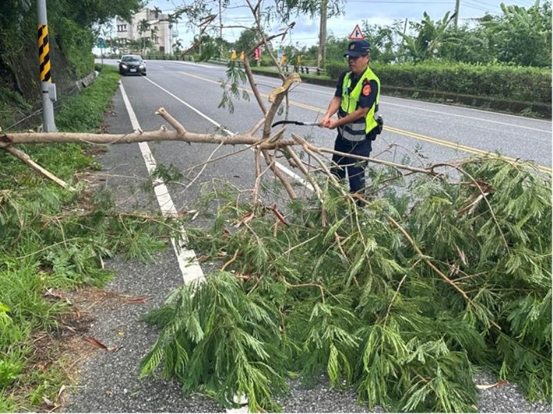 豪雨造成樹塌 波麗士即時排除