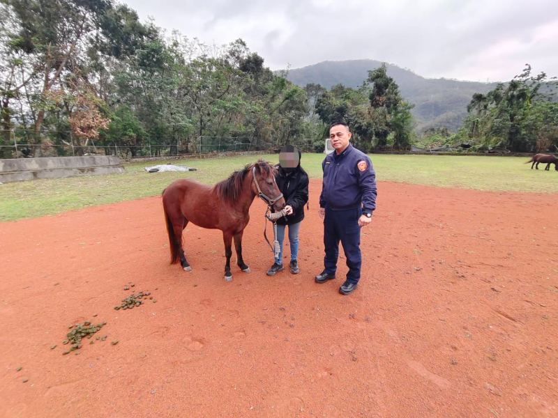 迷你馬兒走失 副所長化身尋馬高手