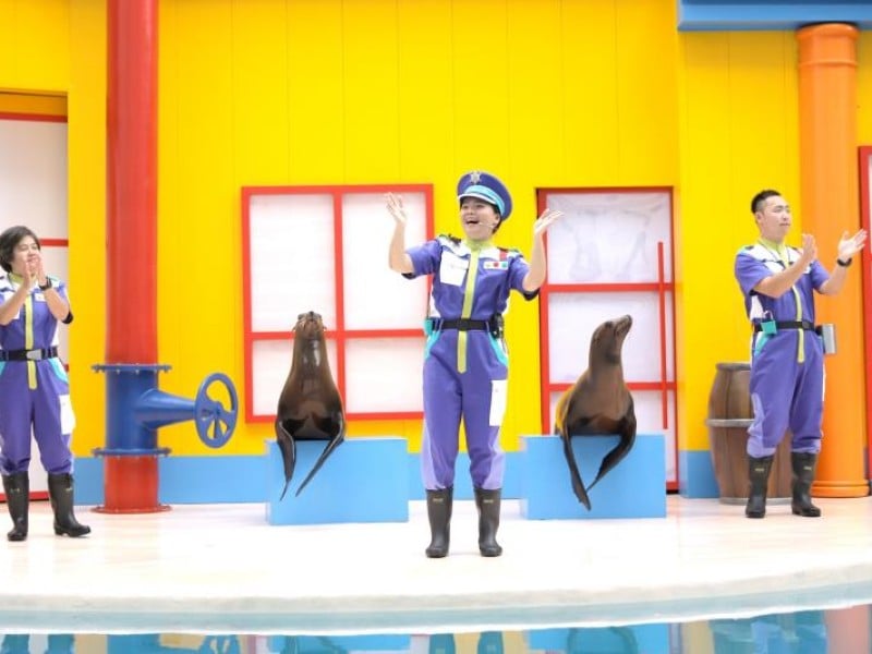 玩花蓮海洋公園送高雄義大樂園