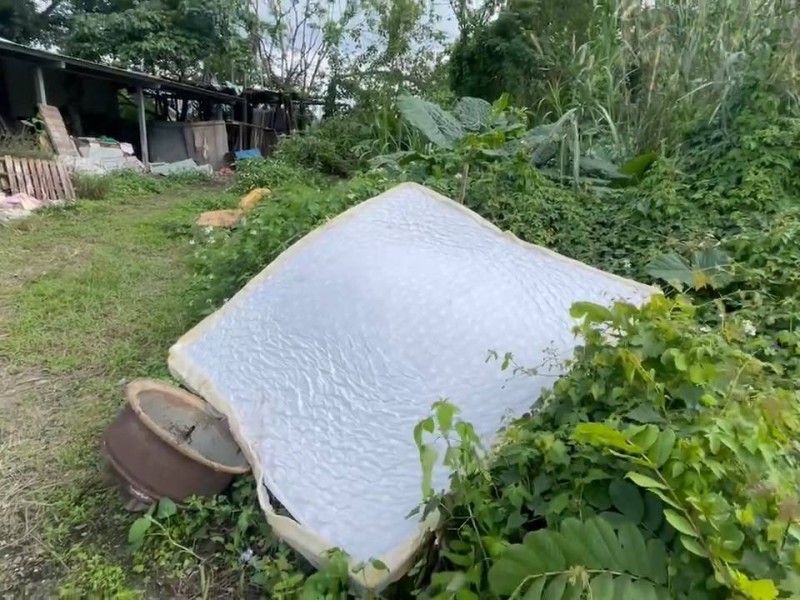 除舊布新 暫放的床墊飛了! 大膽竊嫌被警電眼緝捕