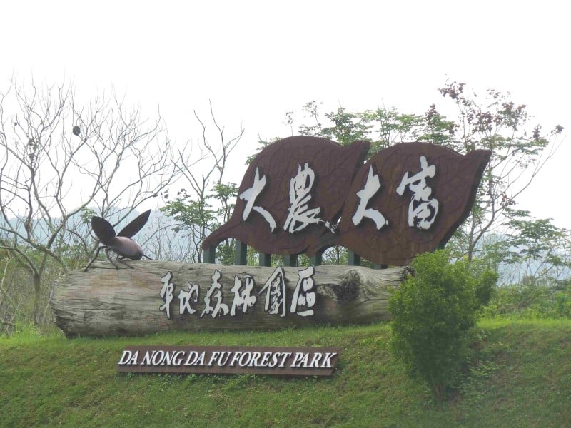 春節「蛇」來賞花海 大農大富紫金花宴好吸睛