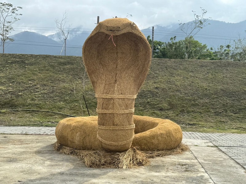 富里稻草藝術季新亮點 ! 350公分巨型蛇 寓意吉祥豐收
