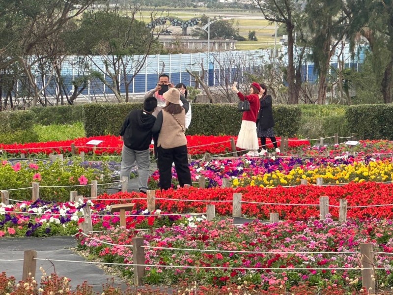 過年走春賞花人潮滿 順遊曼波園區 體驗海味一日行程