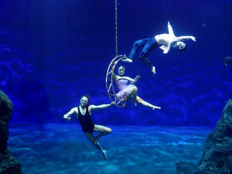 遠雄海洋公園攜手百位人魚 美人魚嘉年華4/1盛大啟航