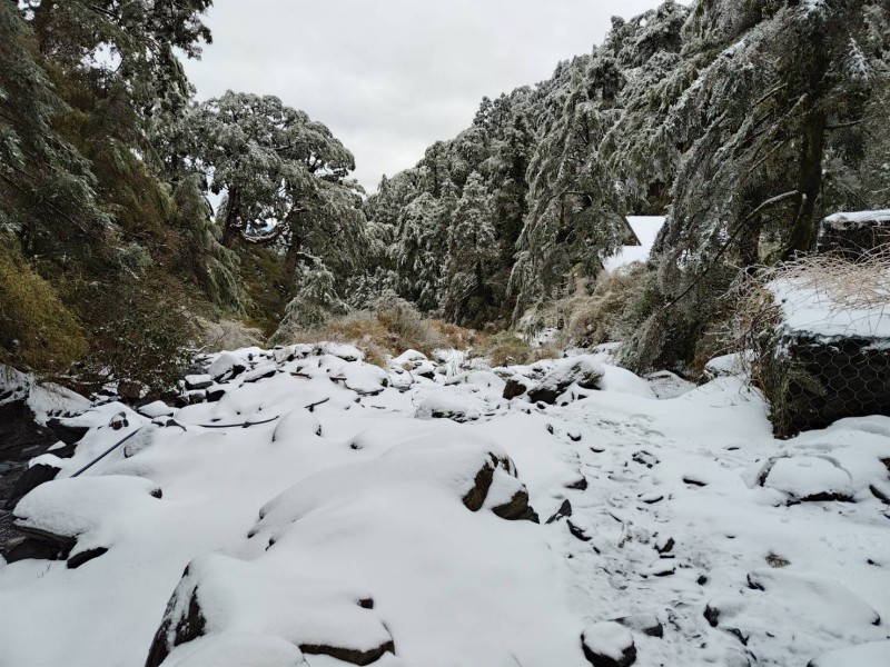 3月雪雖美 別為賞景讓自己命懸一線!