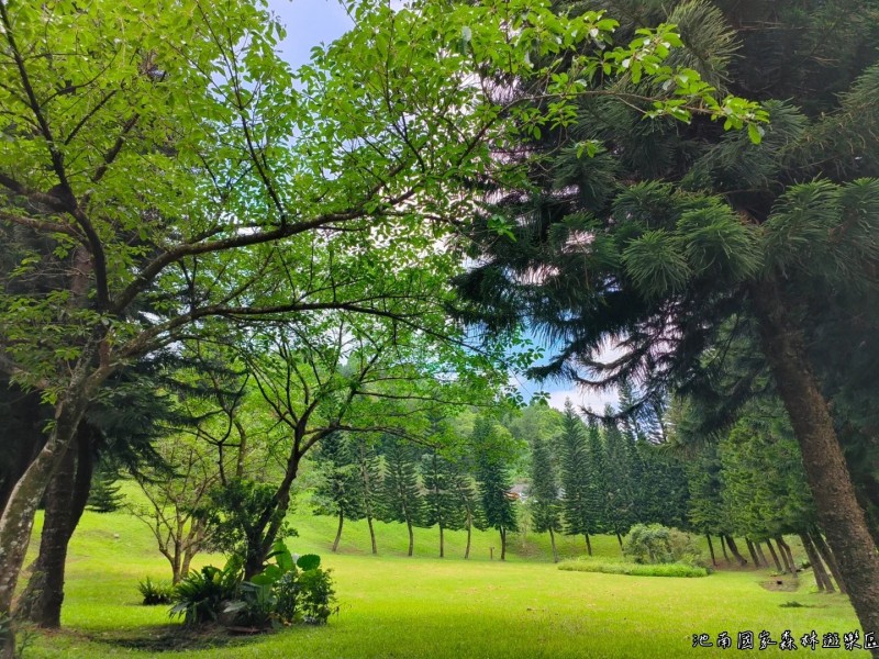 音樂與生態共舞! 「奇幻環境繪本劇場音樂會」4/5池南登場