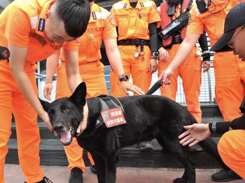 海巡東部分署偵搜犬鐵諾今榮退