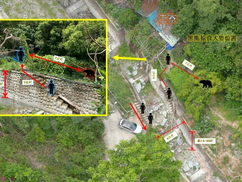 子彈傷及肺臟、脊椎! 還原黑熊槍擊過程 花蓮分署:7公尺之遙赫見進食犬屍 抬頭緊盯衝向護管員