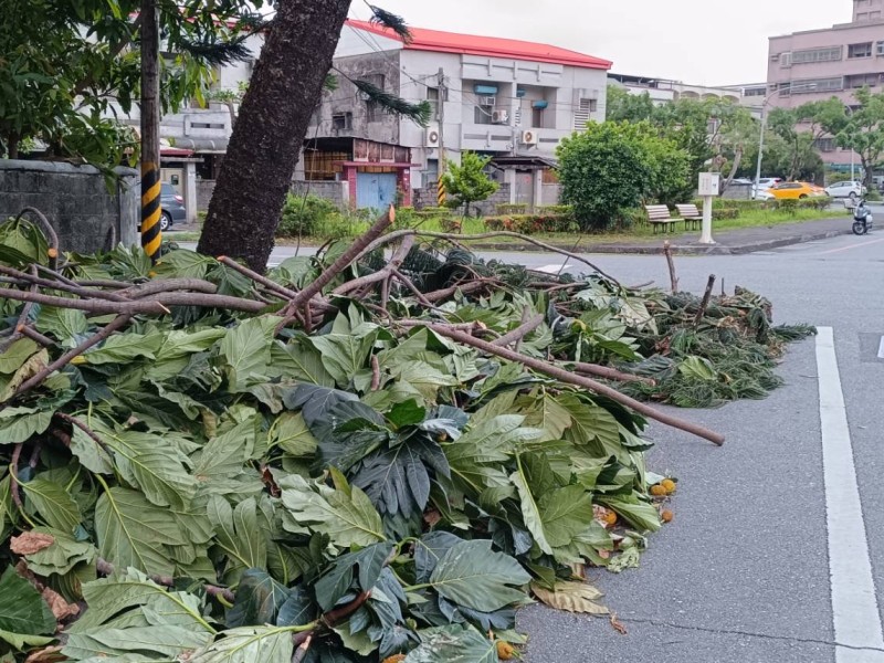樹枝堆放路口無警示燈號 網友提醒用路人夜間注意安全