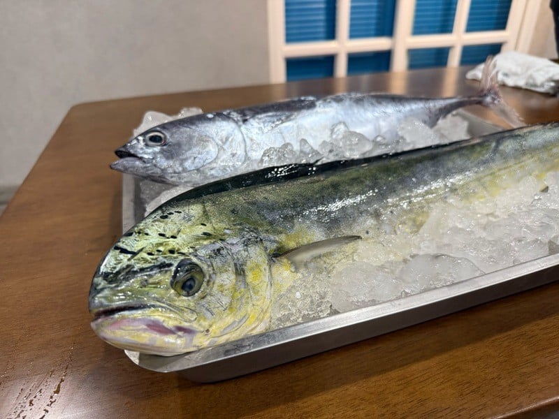 花蓮60家旅宿業者斜槓創作「鬼頭刀」當令料理