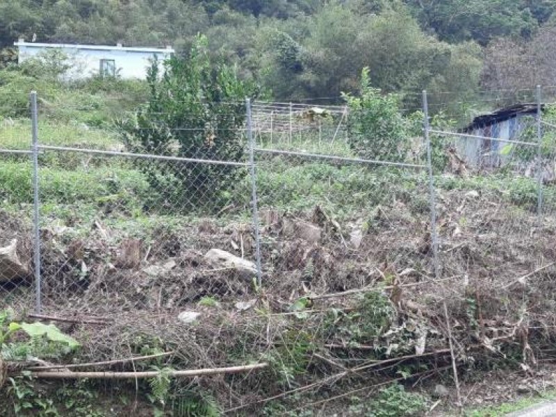 防治獼猴、山豬、山羌危害 縣府將舉辦電牧器電圍網說明會