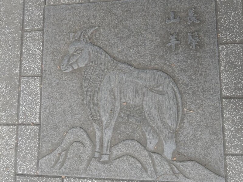 總統府人行道驚現野生動物圖騰