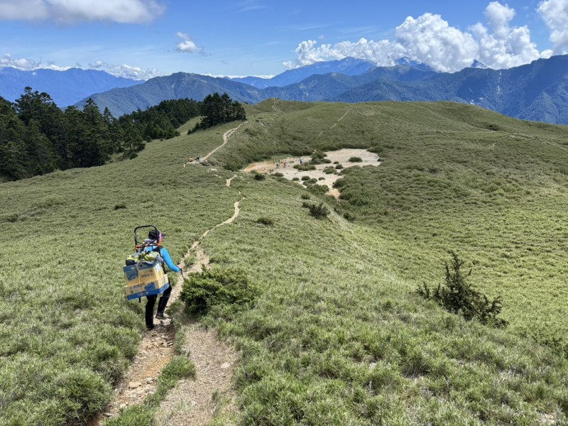 太管處志工復育高山原生植物 助合歡北峰3246鞍地再現生機