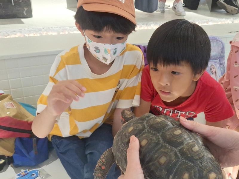 鯨豚、龜龜小學堂 打造沉浸式永續教育