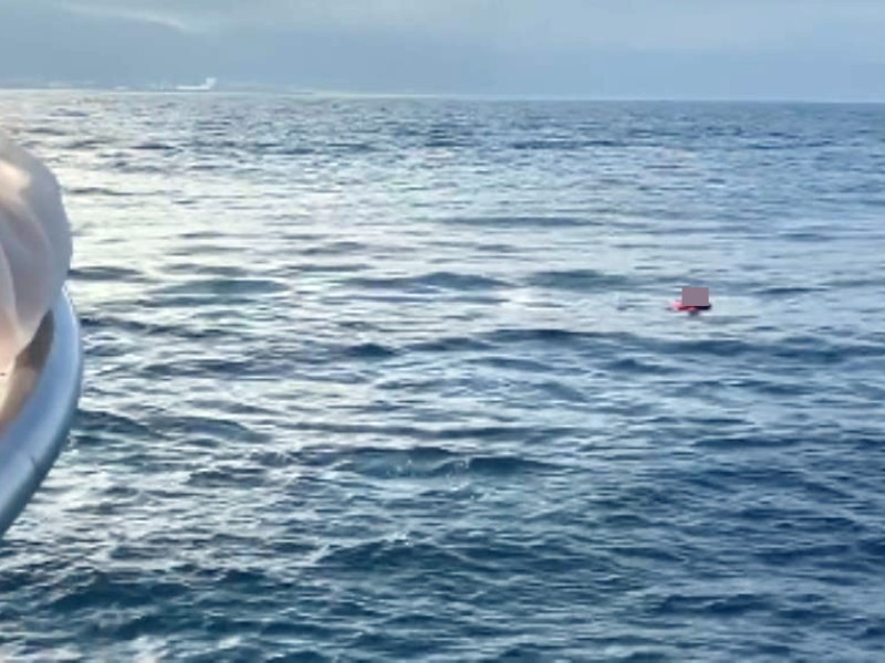 出海賞鯨 為拍美照女子不慎落海