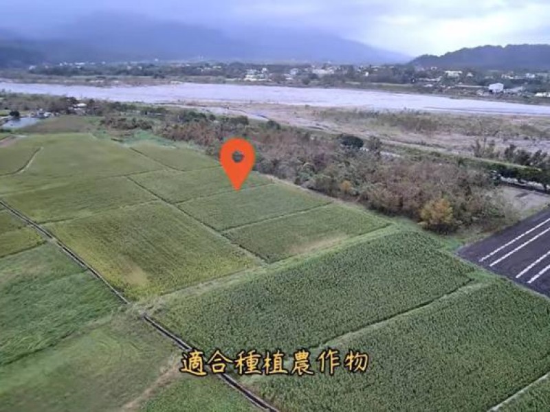瑞穗青山段農地、知本溫泉套房違法拍熱門物件