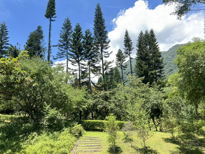 輕颱丹娜絲進逼 林保署花蓮分署轄內育樂場明起預警性休園