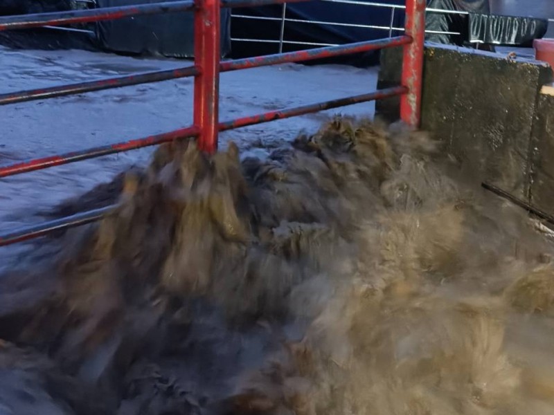 連日雨勢已超排水能量! 玉里客城地區大淹水 高危險區域強制撤離