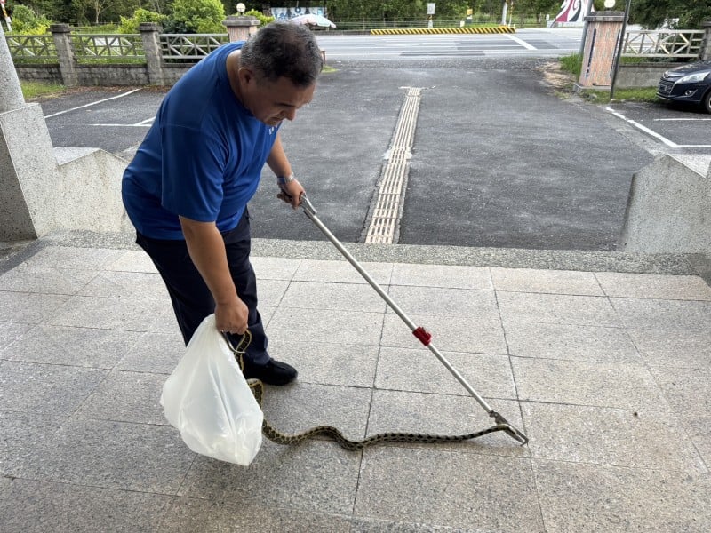 2孩童住家蛇出沒 ! 慌奔大富派出所求助 所長熱心捕蛇化解危機
