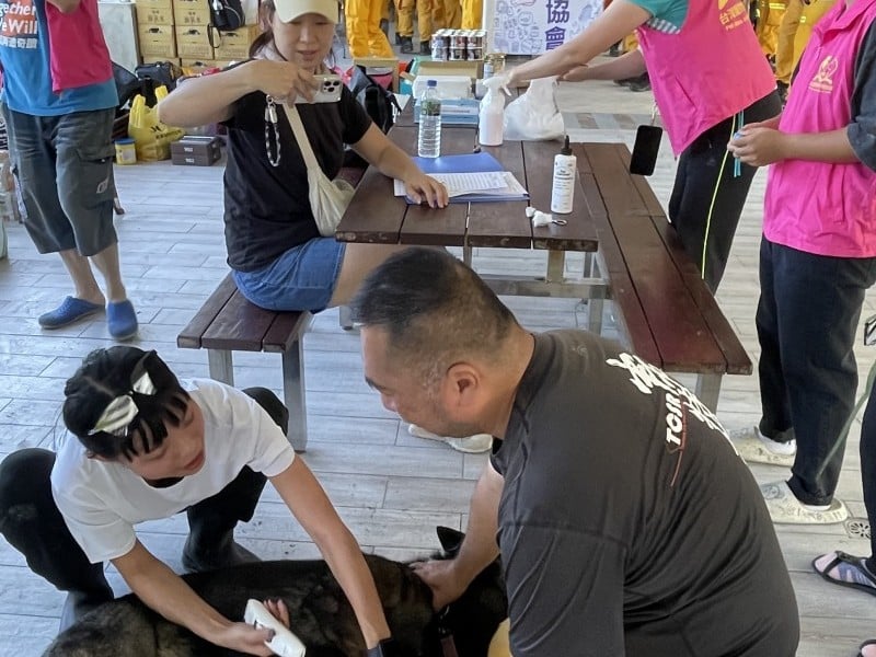 毛小孩也是災民 縣府啟動犬貓義診服務