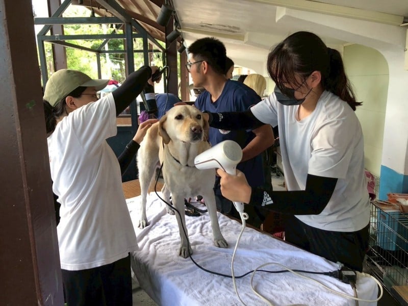 消防局搜救犬無畏泥濘 Hero與Fancy災區奮勇救援