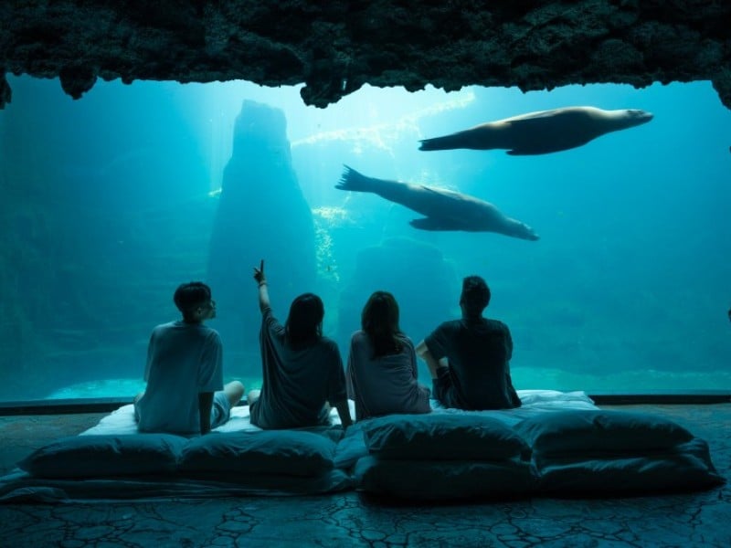 海洋公園推2025ITF旅展限定優惠