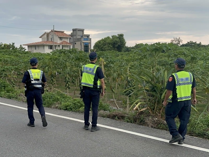 農民出國擔心木瓜遭竊  新城警分局啟動「護農專案」守護辛勞成果
