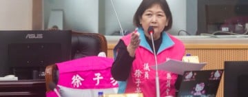 徐子芳：「恐龍入侵」安全有漏洞、宣傳預算竟為「零」