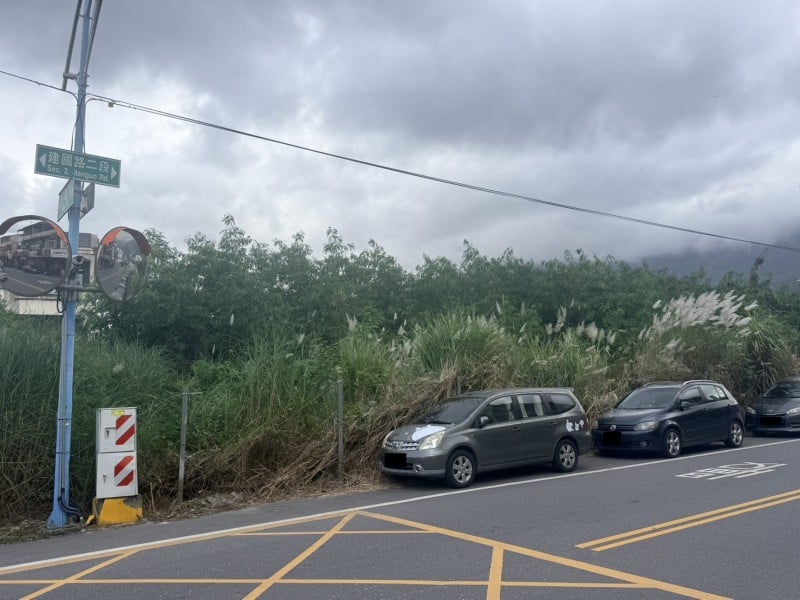 建國路空地雜草四年未解　居民怨環境髒亂與行車危險　公所、環保局回應了