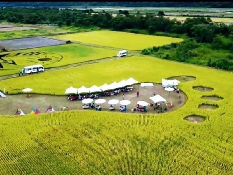 花蓮 Fali Fali 音樂節｜鐵路班班接力 免費接駁三線到位＋1135公車加持