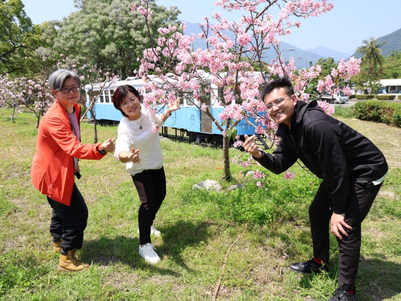 吉安鄉公所推動環境綠美化 即日起受理鄉親苗木申請