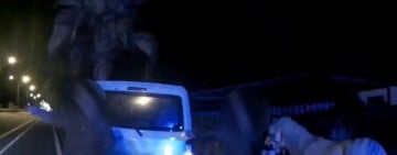 白馬上省道 熱心民眾牽到路邊安撫