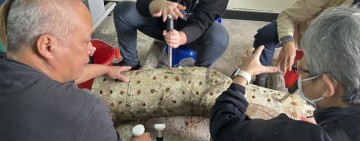 段木香菇培植課程玉里登場