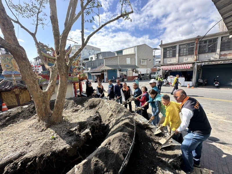 百年老樹記憶不落幕 ! 富里種下新樹種「太魯閣櫟」延續守護精神
