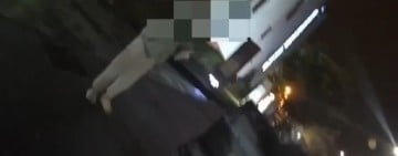 男子在旅社行竊黃金現金 遭警圍捕