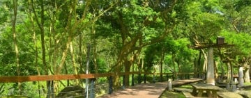 隨手聽故事的自然教室 太魯閣臺地故事地圖上線 線上解說帶路 深度觀察體驗步道地景與生態