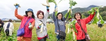 免費拔、吃熱食 ! 長良「幸福好彩頭」拔蘿蔔昨登場 懷念家鄉過年的味道