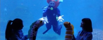 海洋公園「金海馬」亮相迎新春