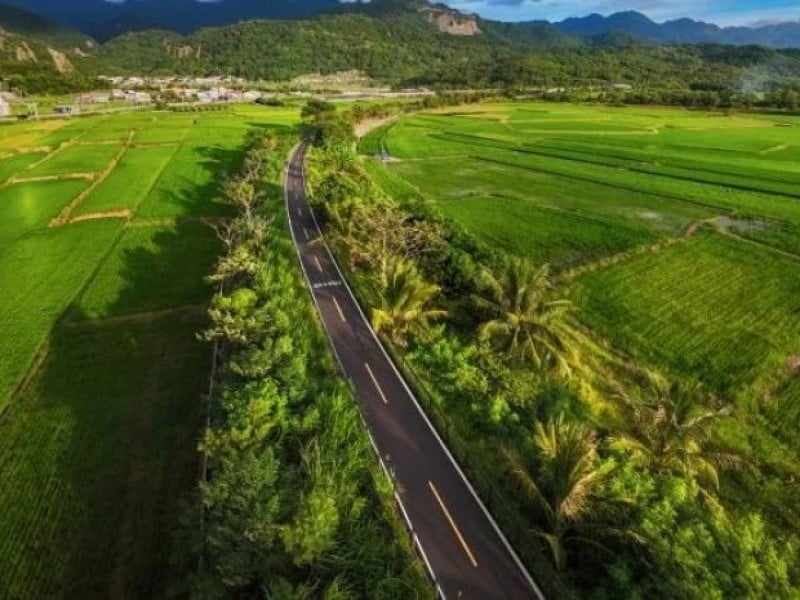 花蓮南區5鄉鎮「春遊景點」一次看 : 富里、玉里、瑞穗、光復、卓溪