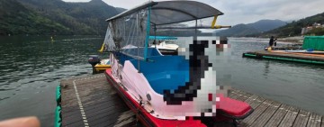 鯉魚潭天鵝船翻覆5人落水一男童不治