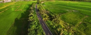 春節觀光開紅盤「南區湧現滿房熱潮 」！住房率強勁復甦 特有溫泉、有機農遊及自然美景 成功開拓深度旅遊客群