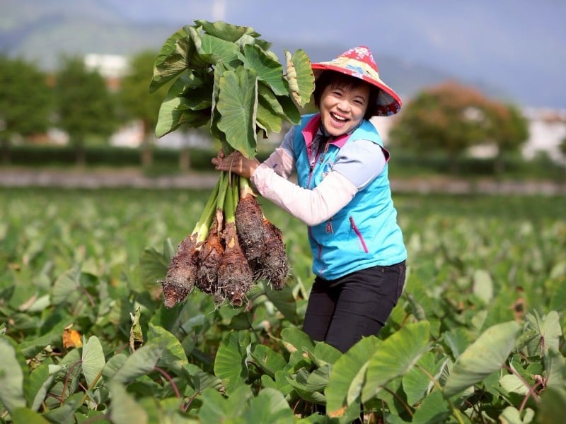 打造亞洲最療癒山海城市！游淑貞號召觀光業者共築「太平洋雕塑之都」願景