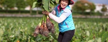 打造亞洲最療癒山海城市！游淑貞號召觀光業者共築「太平洋雕塑之都」願景