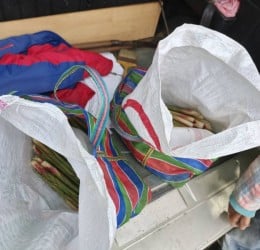 兩竊賊偷箭筍被抓個正著