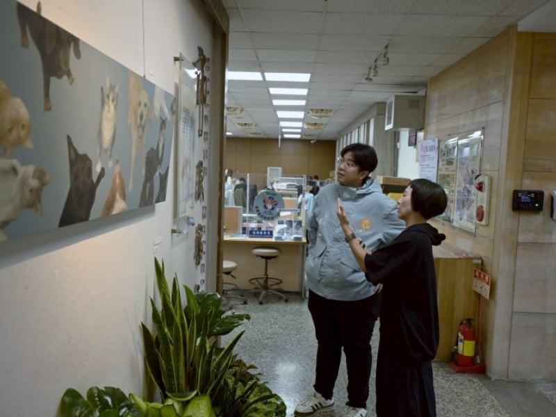 《在回家的路上》在市民藝廊開展